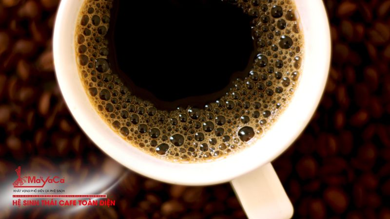 Cach-thuc-hoat-dong-cua-caffeine