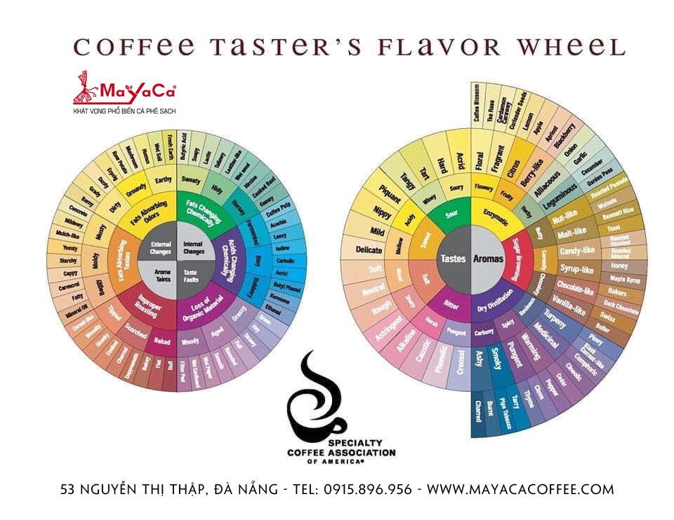 coffee-taster