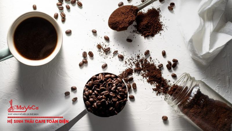Nguon-goc-cua-caffeine