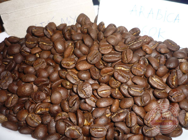 hat-arabica-coffee