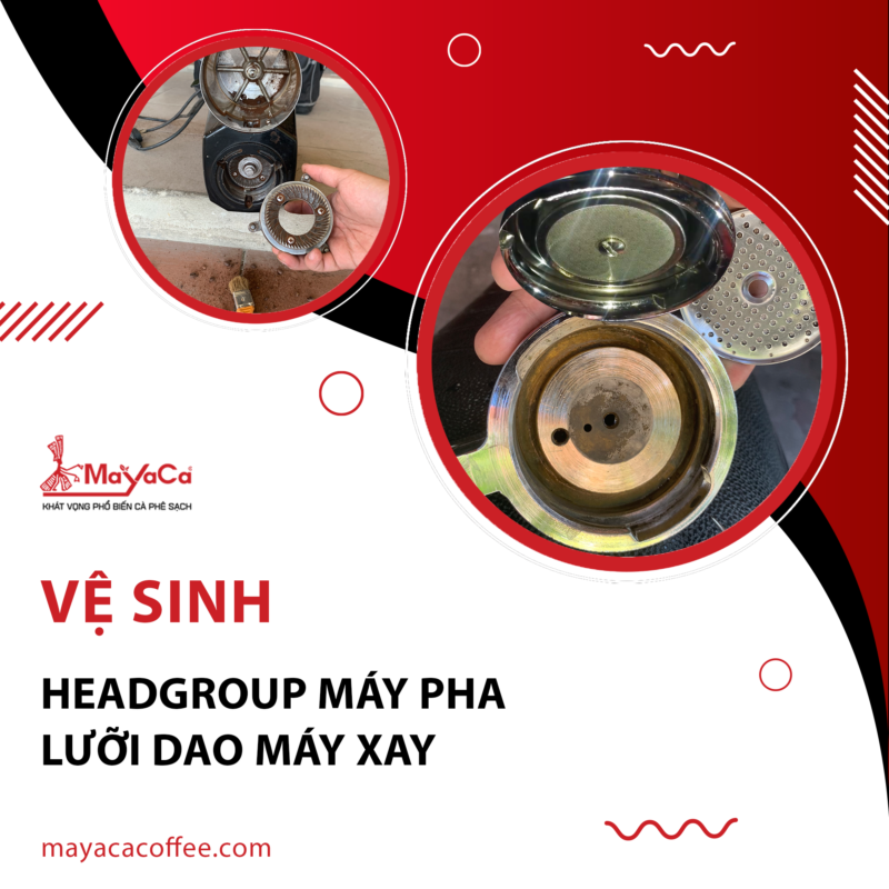 Vệ sinh - MaYaCa Care 150