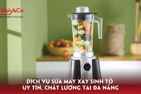 Dich-vu-sua-may-xay-sinh-to-uy-tin-chat-luong-tai-da-nang-mayacacoffee