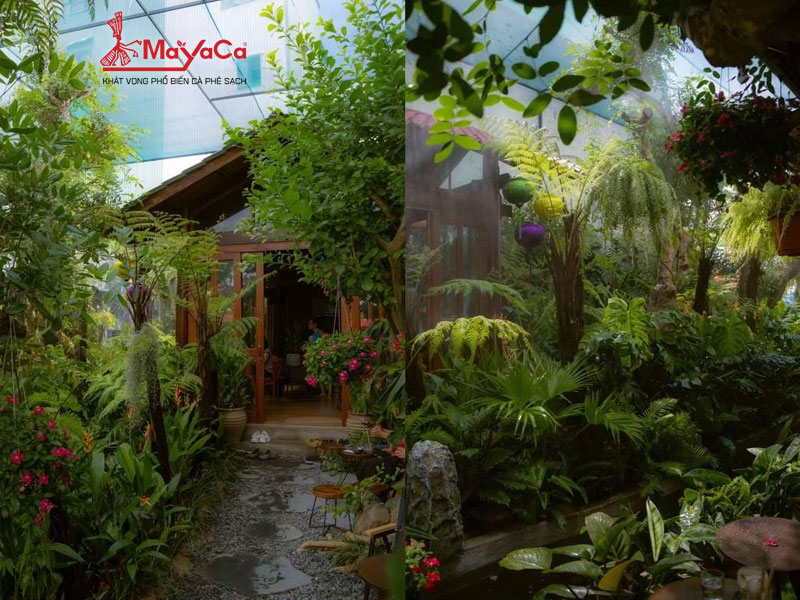 Doi-net-ve-yuki-garden-mayacacoffee