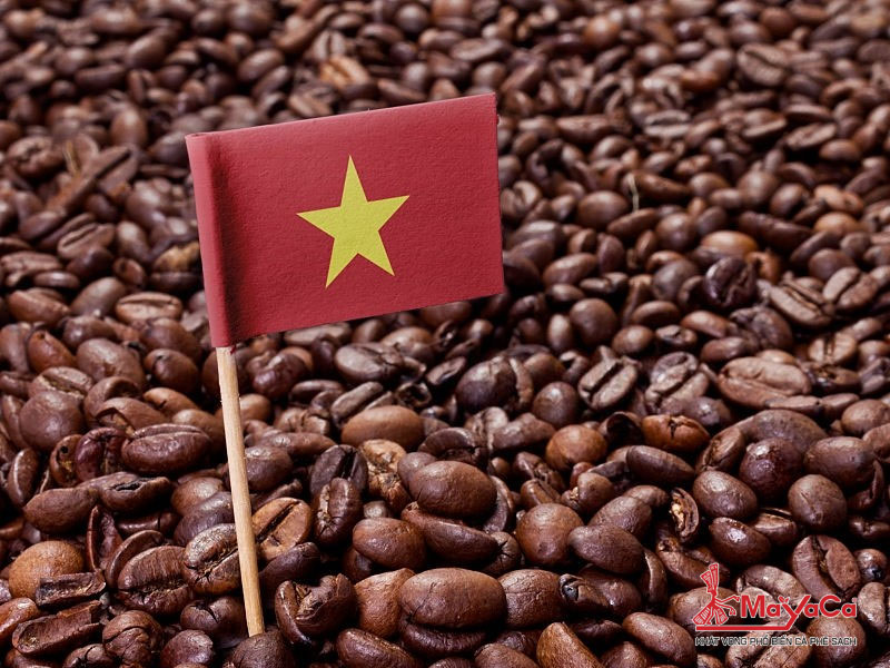 Kham-pha-ca-phe-viet-nam-co-may-loai-mayacacoffee