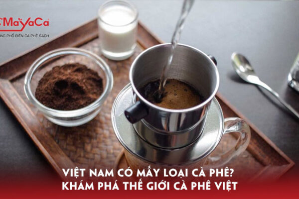 Viet-nam-co-may-loai-ca-phe-kham-pha-the-gioi-ca-phe-viet-mayacacoffee