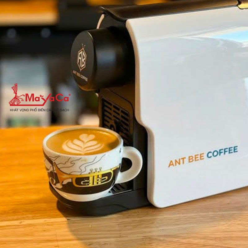 Mayaca-phan-phoi-may-pha-ca-phe-vien-nen-dacn-hien-dai-antbee-2-mayacacoffee