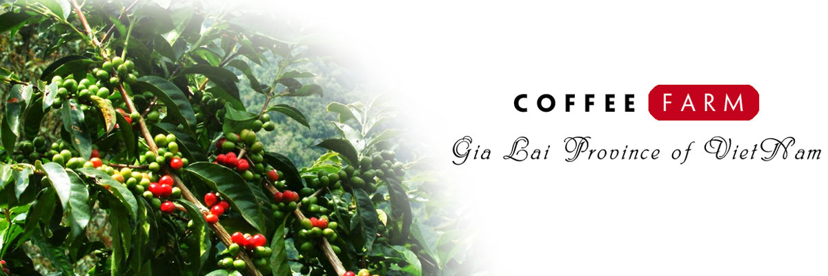 Gioi-thieu-2-mayacacoffee