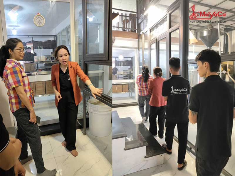 Mayaca-xay-dung-quy-trinh-nha-may-ca-phe-iso-dau-tien-o-da-nang-2-mayacacoffee