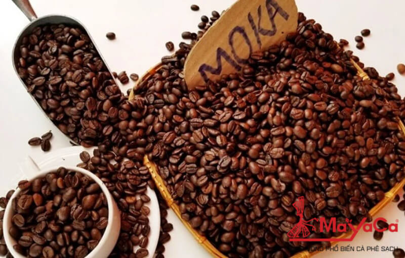 Ca-phe-moka-la-gi-mayacacoffee-2