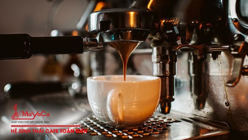 Mayaca-coffee-co-da-dang-dong-may-pha-ca-phe-dap-ung-moi-nhu-cau