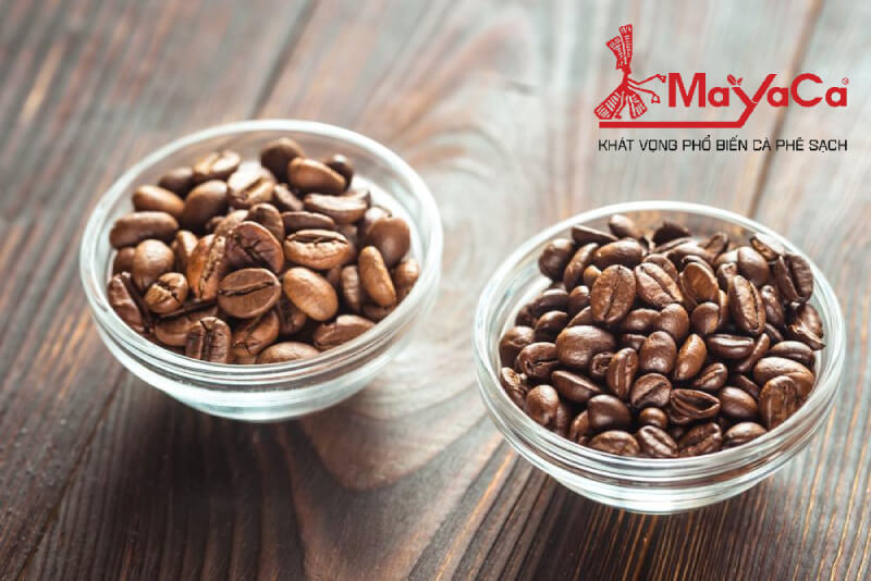 Vi-sao-ca-phe-co-vi-chua-mayacacoffee-1