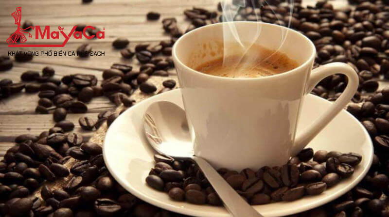 Vi-sao-ca-phe-co-vi-chua-mayacacoffee-4