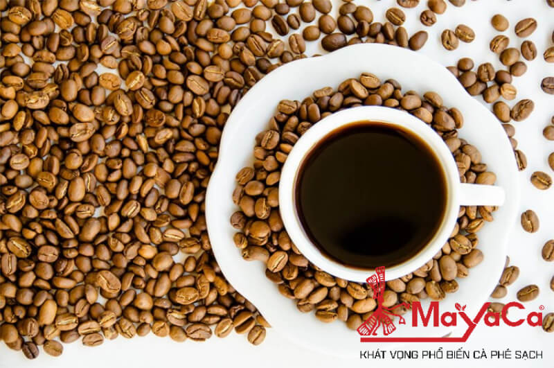 Vi-sao-ca-phe-co-vi-chua-mayacacoffee