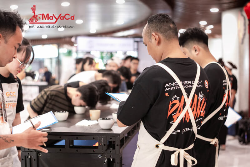 Ceo-mayaca-coffee-ho-duc-tien-ghi-dau-an-tai-vietnam-coffee-challenge-mayaca-1