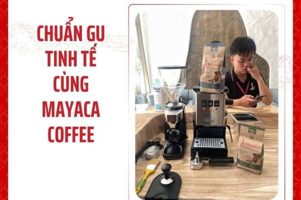 Lap-dat-bo-may-pha-chuyen-nghiep-co-nho-gaggia-classic-e24-ket-hop-may-xay-crm021