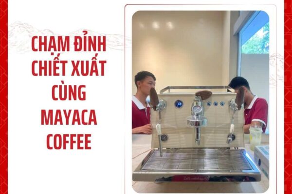 Lap-dat-hoan-thien-va-ban-giao-dong-may-pha-thuong-mai-gemilai-phien-ban-custom-cao-cap