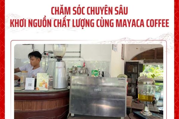 Mayaca-coffee-bao-duong-quay-bar-chuyen-nghiep