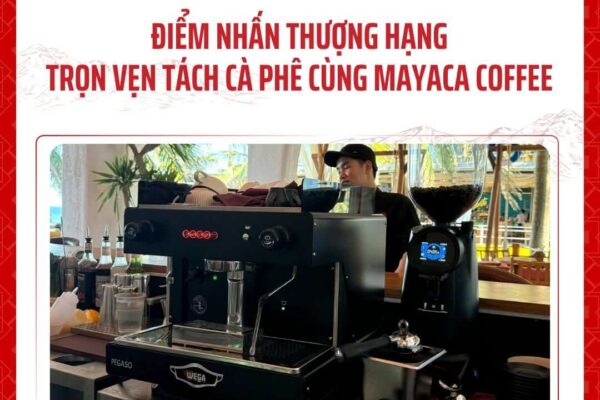 Mayaca-coffee-hoan-thien-he-thong-loc-nuoc-va-ban-giao-dung-cu-barista-cho-coco-beach