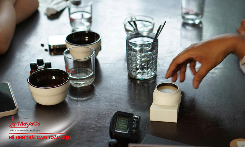 Nha-may-mayaca-coffee-quy-trinh-san-xuat-dat-chuan-iso-1-mayacacoffee