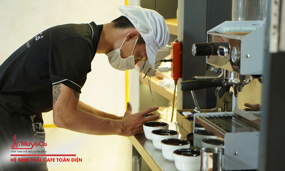 Nha-may-mayaca-coffee-quy-trinh-san-xuat-dat-chuan-iso-4-mayacacoffee