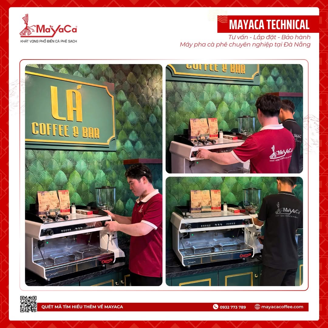 Vung-vang-van-hanh-cung-mayaca-coffee-3