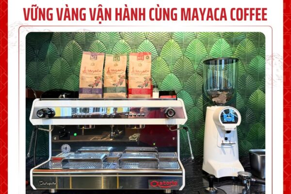 Vung-vang-van-hanh-cung-mayaca-coffee