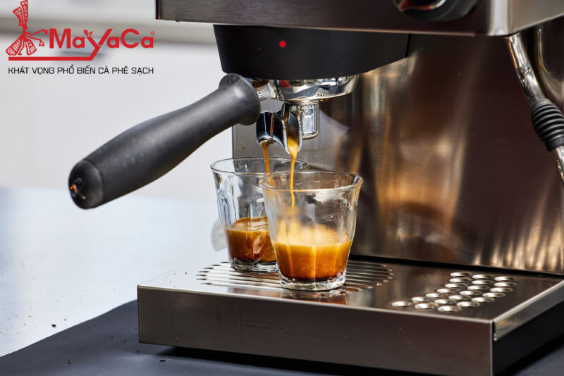 Kinh-nghiem-mua-may-pha-ca-phe-gia-dinh-mayacacoffee-2