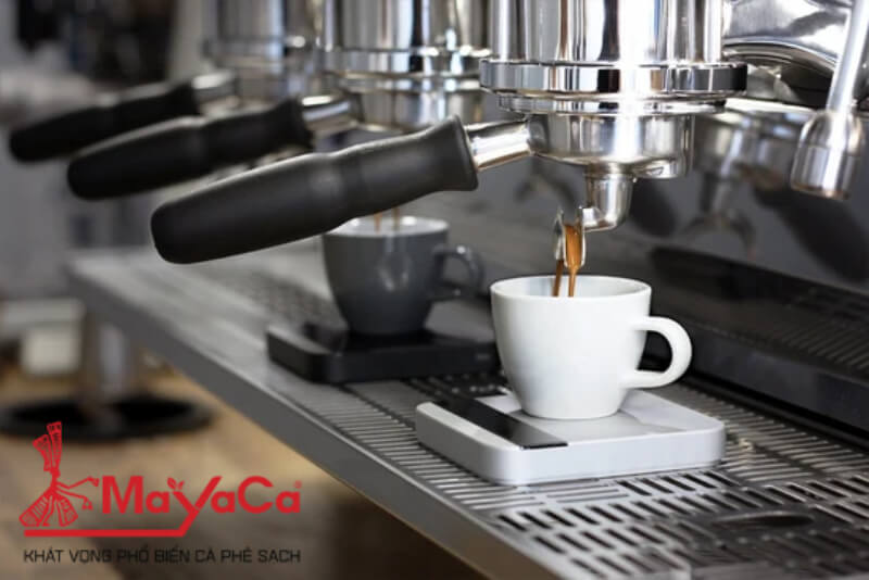 So-sanh-may-pha-ca-phe-1-group-va-2-group-mayacacoffee-14