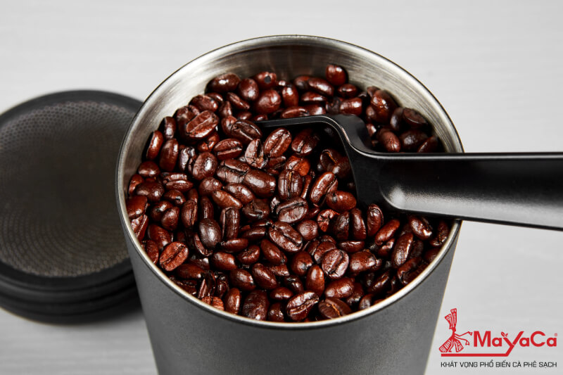 Cach-bao-quan-ca-phe-hat-mayacacoffee-2