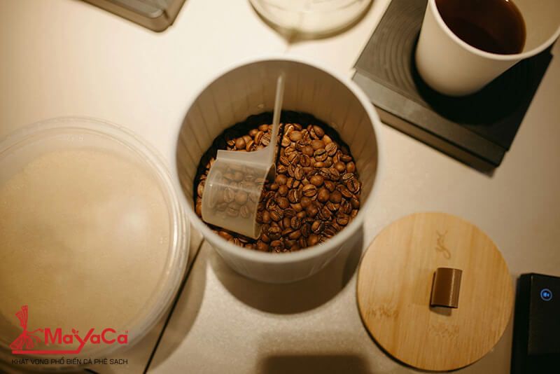 Cach-bao-quan-ca-phe-hat-mayacacoffee-3