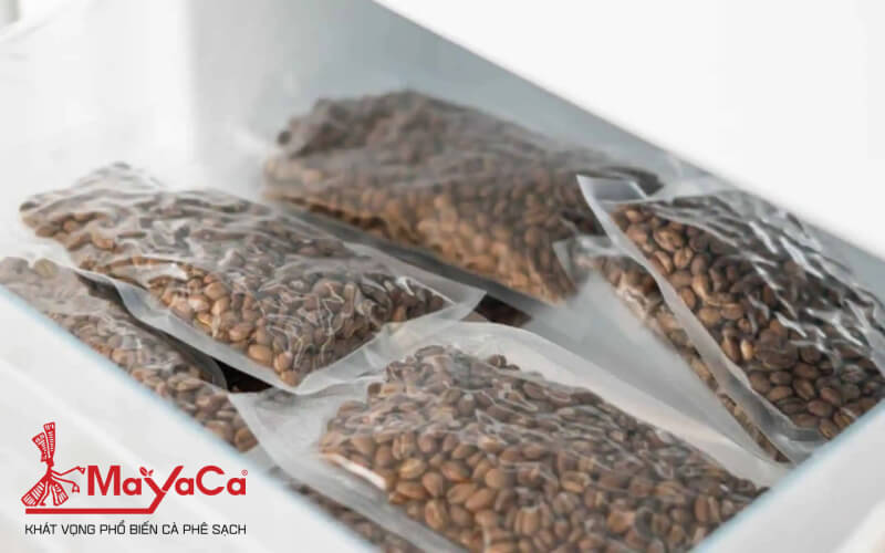 Cach-bao-quan-ca-phe-hat-mayacacoffee-5
