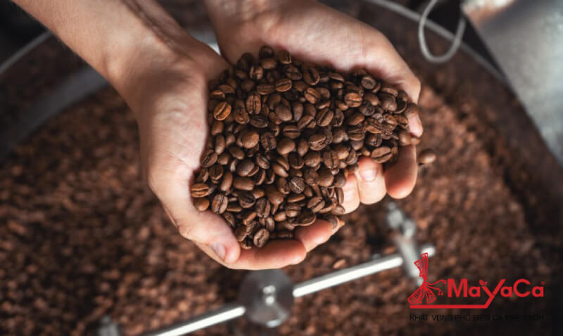 Cach-bao-quan-ca-phe-hat-mayacacoffee-6