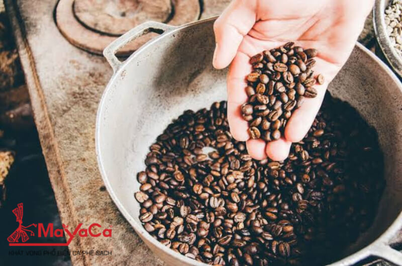 Cach-bao-quan-ca-phe-hat-mayacacoffee-7