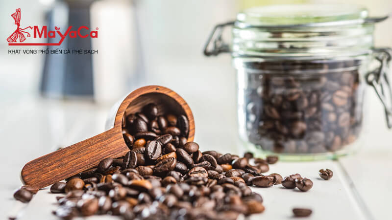Cach-bao-quan-ca-phe-hat-mayacacoffee-8