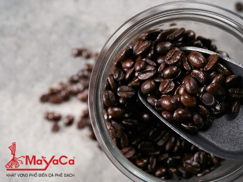 Cach-bao-quan-ca-phe-hat-mayacacoffee-9