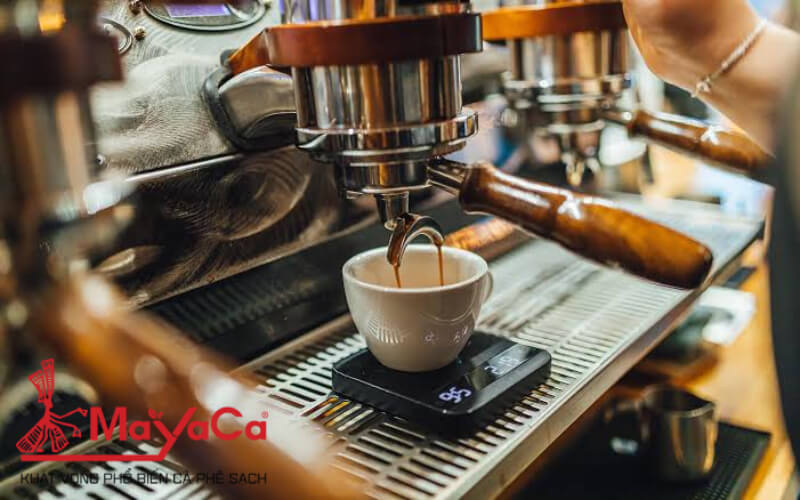 Cach-su-dung-may-pha-ca-phe-mayacacoffee